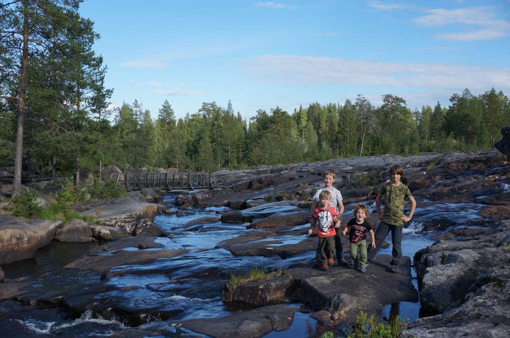 Aux chutes de Storforsen