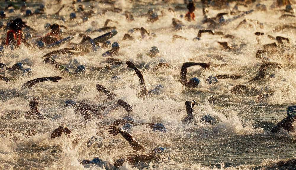 La natation, une véritable bagarre !